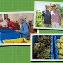 Cultivating Wellness: Senior Living Embraces Regenerative Agriculture