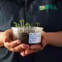 Chile's Desert Vault: Safeguarding Plant Diversity Amidst Climate Change