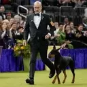 Penny the Doberman Claims Top Honors at 150th Westminster Dog Show