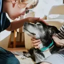Caring for Senior Pets: A Comprehensive Guide