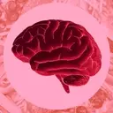 The Impact of Ultra-Processed Foods on Brain Health: A New Review