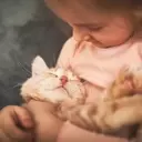 From Feline Focus to Family Harmony: A Parent's Journey with Pets and Child