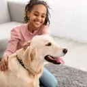 Choosing the Perfect Canine Companion for Families with Children