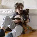 The Journey of Welcoming a Pet: Addressing a Child's Desire for Companionship