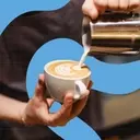 Baristas' Top Picks: The Ultimate Guide to Coffee Creamers