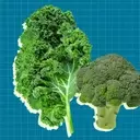 Top Winter Vegetables for a Mediterranean Diet