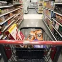 Tariff Persistence: Why Consumer Prices Remain Elevated Despite Legal Challenges