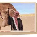 Wadi Rum Blooms: A Desert Transformed by Winter Rains