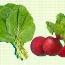 Top Vegetables for Liver Health Recommended by Dietitians