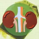 Green Tea: A Potent Ally for Kidney Wellness
