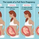 The Importance of Full-Term Pregnancy for Baby's Development