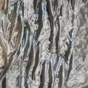 The Amazing Feat of Waterfall-Climbing Fish
