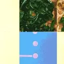Demystifying Culinary Terminology: The Allium Example