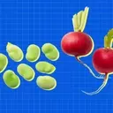 Spring's Bounty: Essential Mediterranean Diet Foods for April