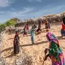 Africa's Great Green Wall: A Grand Vision Facing Formidable Hurdles