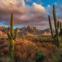 Tucson: The Southwest's Unsung Gem for Travelers