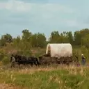 Netflix Unveils Teaser for 'Little House on the Prairie' Adaptation
