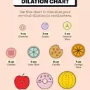 Understanding Cervical Dilation During Childbirth: A Visual Guide
