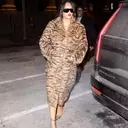 Rihanna's Fierce Animal Print Style