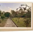 A Tranquil Haven Amidst Global Affairs: Islamabad's Haunted Hill Park
