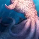Giant Octopuses Roamed Cretaceous Seas
