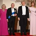 Melania Trump's White House State Dinner Attire
