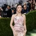 Met Gala 2026: Floral Fantasies Blossom on the Red Carpet