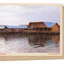 Mangrove Conservation: A Lifeline for Indigenous Fishing Communities in Indonesia