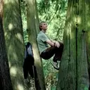 A Cinematic Journey into the Sentient World of Plants: Review of 'Silent Friend'