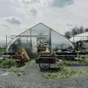 Korean Culinary Masters Establish "First Hand Farm" in Hudson Valley to Cultivate Traditional Ingredients