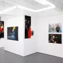 Signals: Elevating Photographic Narratives Beyond Creation