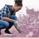 Transforming Your Garden: Innovative Uses for Everyday Food Scraps
