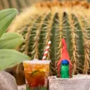 Gnomes Steal the Spotlight at Chelsea Flower Show
