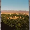 The Enduring Tradition and Evolving Future of Morocco's Rose Valley