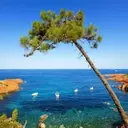 Exploring the Uncharted Beauty of the Var Coast: A Journey Beyond the Crowds