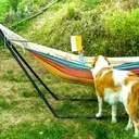 Summer Reading: Dog-Themed Books for All Ages