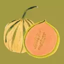 Discovering the Diverse World of Summer Melons