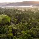 The EU Deforestation Regulation and the Future of Leather