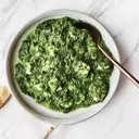 Smart Meal Prep for New Parents: Overcoming Recipe Monotony