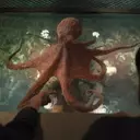 Bringing Marcellus to Life: The VFX Journey of 'Remarkably Bright Creatures'