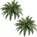 Top Picks: The Most Realistic Artificial Plants on Amazon