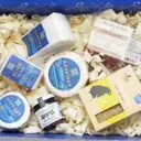 Exploring the World of Cheese: A Deep Dive into Premium Subscription Services