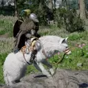 Crimson Desert Enhances Pet System and Addresses Player Feedback in Latest Update