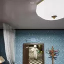 Chameleon Hide-and-Seek Game Achieves Million Sales Milestone in Four Days