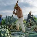 The Enhanced Paloma: A Refreshing Tequila Cocktail