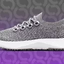 Allbirds Transforms into AI Powerhouse Smartbird, Stock Soars