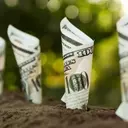 Simplified Investing: Is a Dividend Equity ETF Your Best Bet?