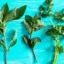 Reviving Wilted Herbs: A Guide to Crafting Flavorful Herb Oils
