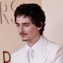 Timothée Chalamet and Selena Gomez to Star in Illumination's 'Not Alone'