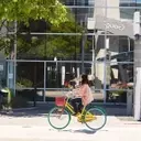 Alphabet Stock Plummets Following Departure of Key AI Talent
